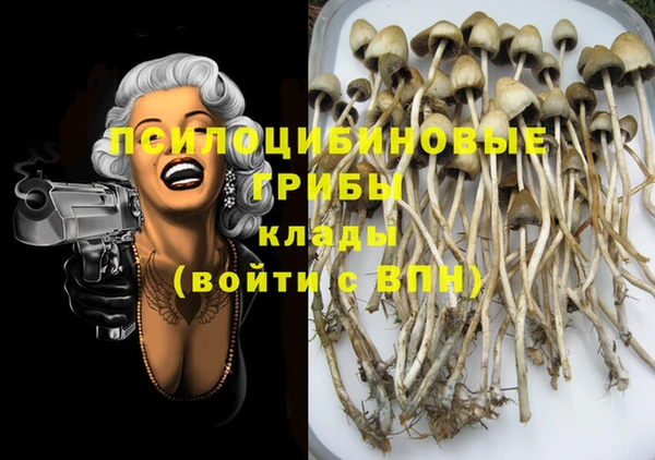 круглые Белокуриха