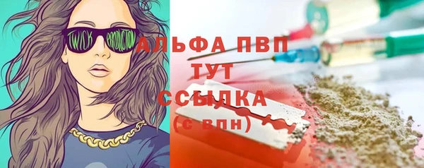 круглые Белокуриха
