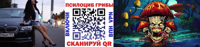 Галлюциногенные грибы Psilocybe  kraken онион  Вятские Поляны 