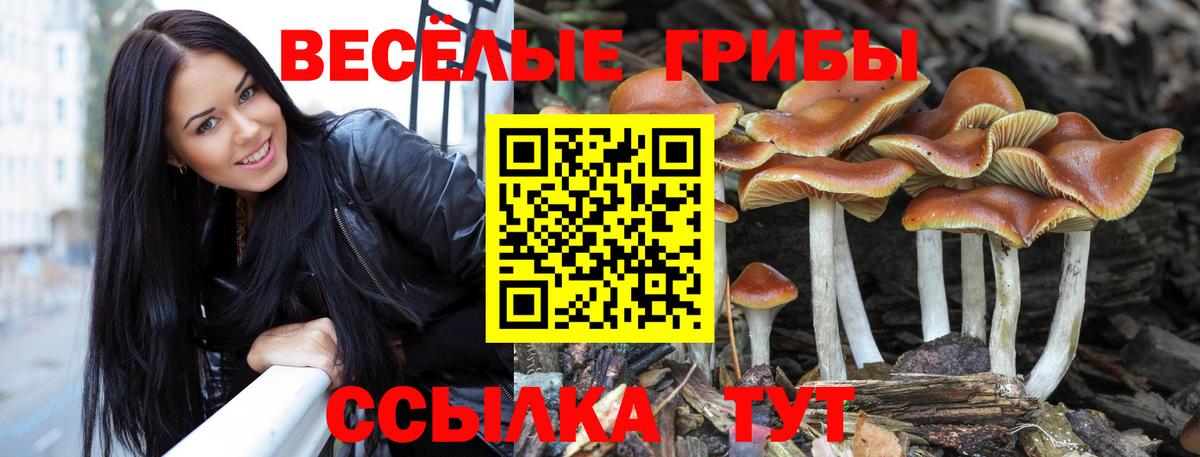 Вятские Поляны  Псилоцибиновые грибы прущие грибы  купить наркоту  Вход с VPN 